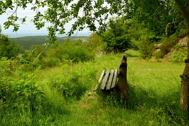 社会责任 社会责任