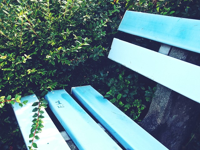 激烈的竞争 激烈的竞争