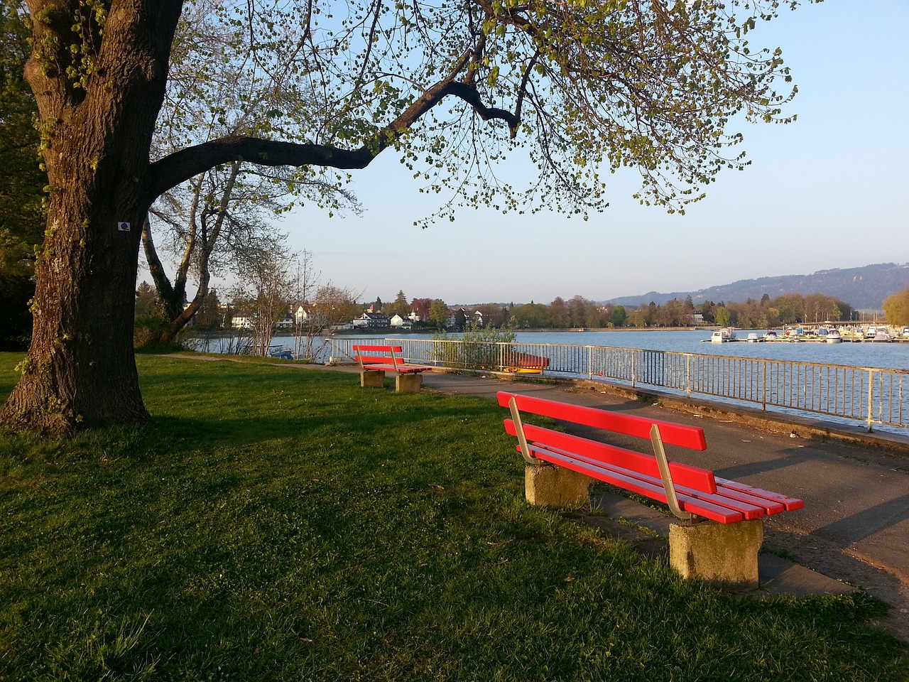 也让学生们 也让学生们