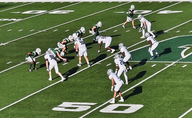 他凭借自己 他凭借自己