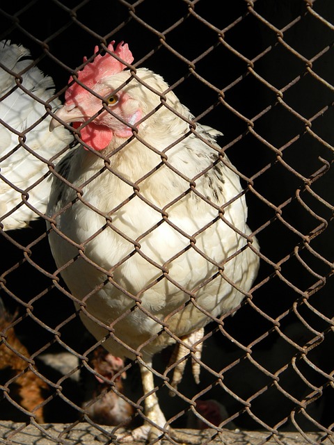 多次启用换 多次启用换