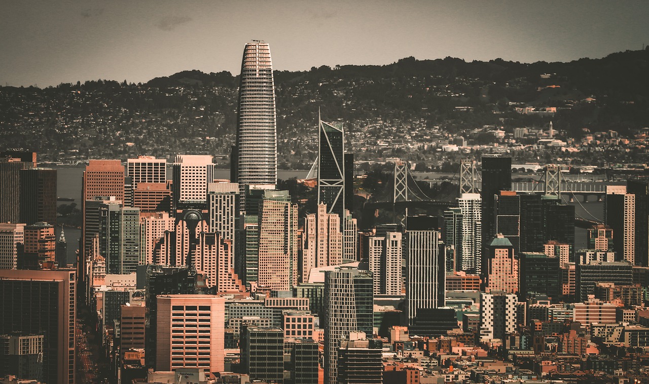 反观鹈鹕 反观鹈鹕