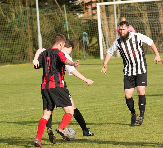 分的发挥 分的发挥