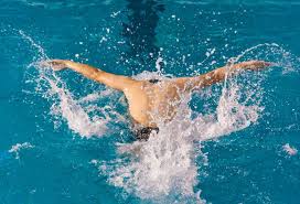 分析近年来 分析近年来